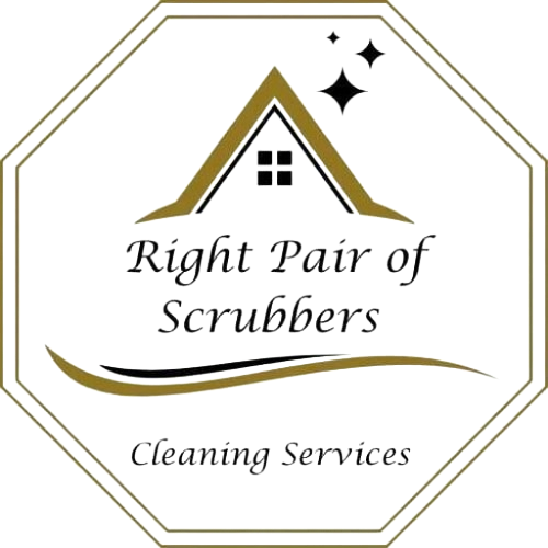 Domestic Cleaning Services in Somerset | Right Pair of Scrubbers