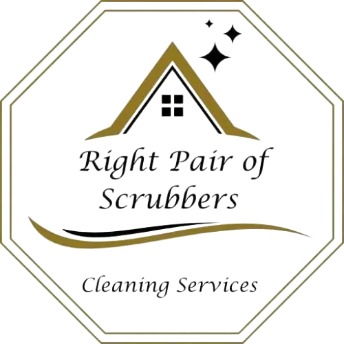 Domestic Cleaning Services in Somerset | Right Pair of Scrubbers